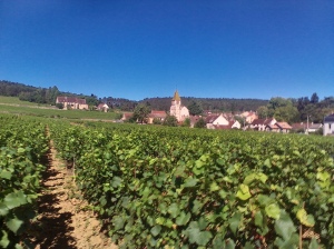 Wine villages in Burgundy.